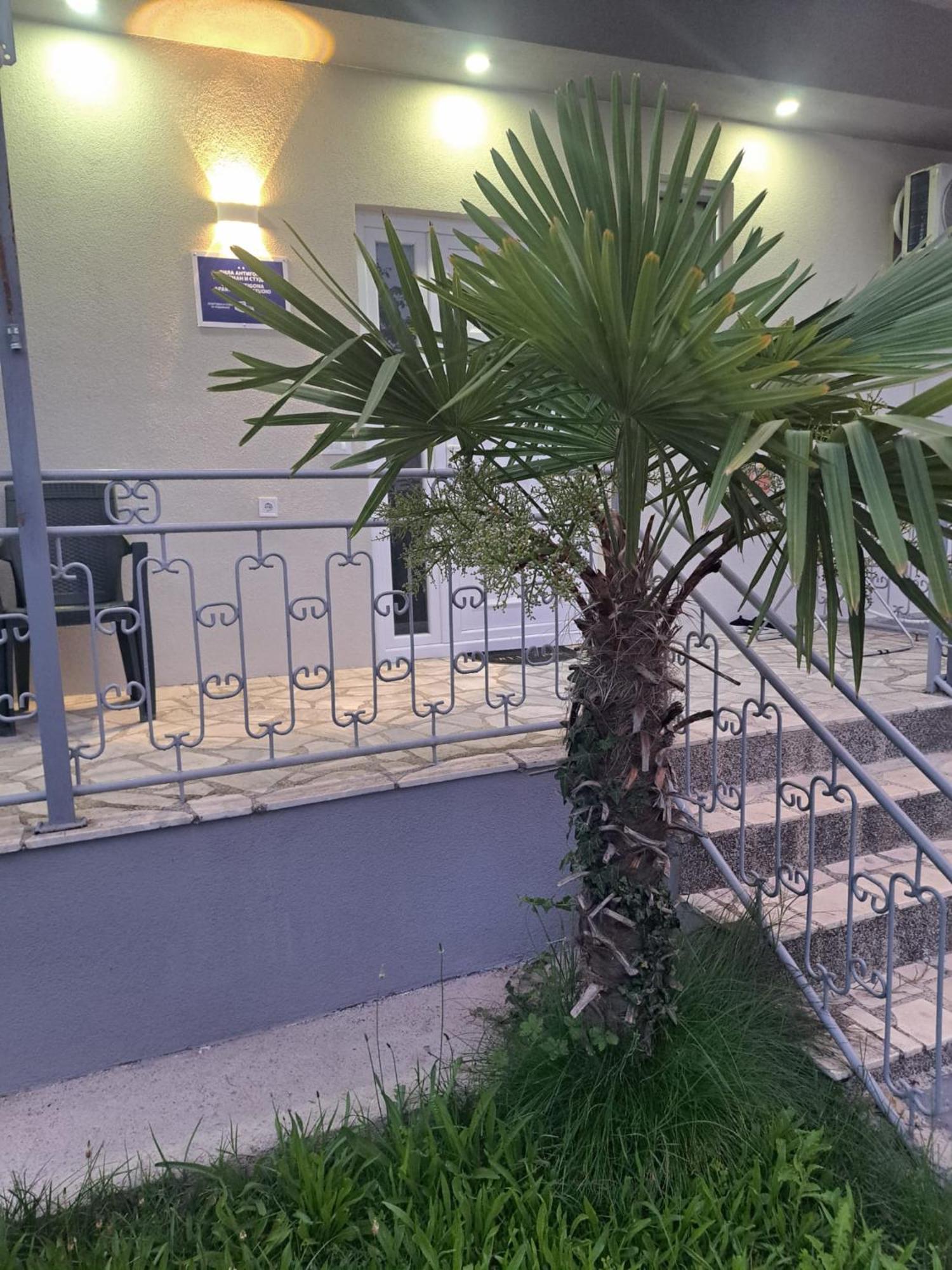 Villa Apartments&studio Antigona *